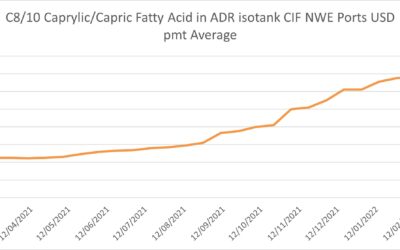 In one year, the prices of the C8/10 have more than tripled !
