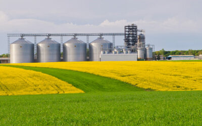 Cargill to build new palm oil refinery in Indonesia