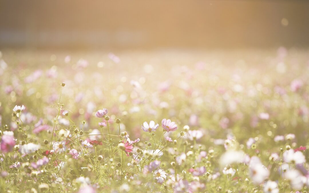 The constant uncertainty has become an accepted development in our lives, as it has in our Quarterly Glycerine Report