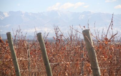 Demand for UCO is sustained