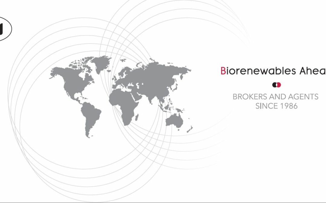 HBI language learning platform