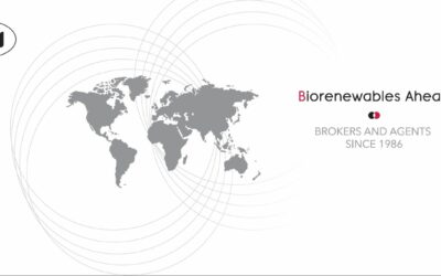 HBI language learning platform