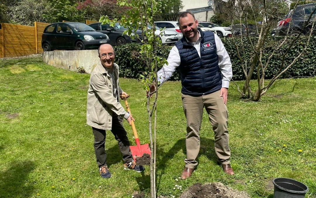 A new tree in HBI’s garden