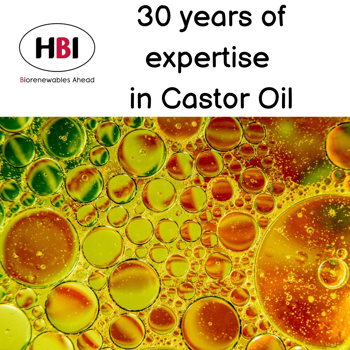 30 years of expertise in Castor Oil