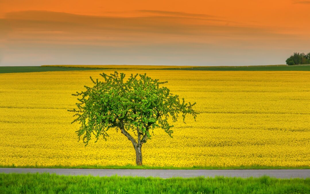 2 500 Containers per annum! 